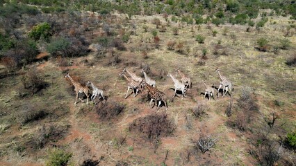 Safari Trip In Pilanesberg National Park South Africa. Game Drive Safari Scenery In The African Savannah. Countryside Sky Rural Field. Sky Panning Wide. Pilanesberg National Park.