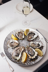 oysters on a plate