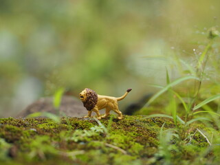 Mini toy of action figure at outdoor with blurred background. Miniature photography concept design. Minifigure of lion character at wild nature.