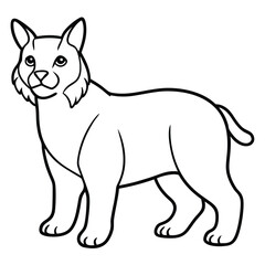 Fototapeta premium Cartoon lynx isolated on white background in black and white style