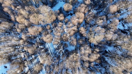 Patagonia Road In Ushuaia Tierra Del Fuego Argentina. Highway Interchange Crossing City With Traffic Jam. Snowflakes Tourism Glacial Landscape Blizzard. Glacial Landscape Frosty Outdoor.