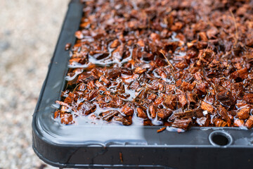Wet Bark Chips in Planting Container