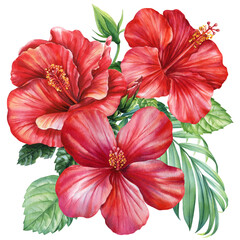 Obraz premium tropical red hibiscus flowers bouquet with green leaves in vibrant summer watercolor botanical Jungle poster, summer beach design
