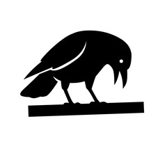Black silhouette of a crow in a bent-over, feeding pose. Ideal for wildlife, Halloween, or dark-themed graphic design and storytelling elements