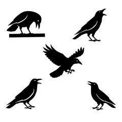 Set of black crow and raven silhouettes in various poses including flying, perched, and walking. Ideal for gothic, spooky, or Halloween-themed designs