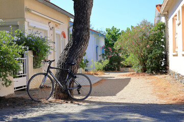 Fototapete bei efototapeten.de bestellen   