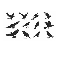 Minimalist Black Bird Silhouettes Vector Set – Flying and Perched Crow and Raven Designs
