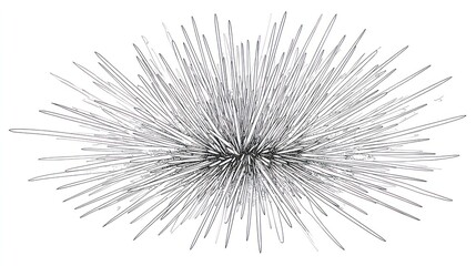 Abstract drawing of a sea urchin