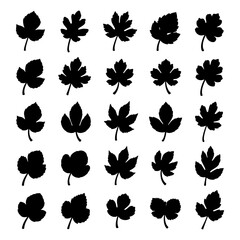 Fototapeta premium Collection of 25 black leaf silhouettes with detailed veins and shapes leaves nature