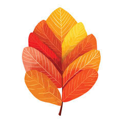 fall leaf isolated in White Background, fall leaf vector, Flat lay vector illustration
