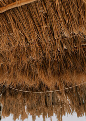 Fototapeta premium Close-up view of thatched straw roof from underneath, capturing texture and detail.