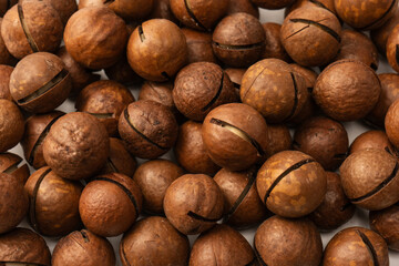 Macadamia nuts in a shell isolated on a white background.