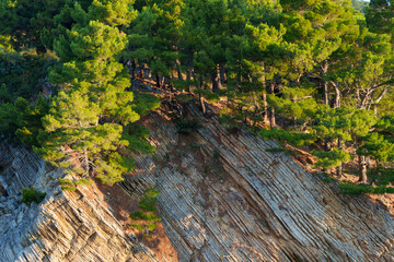 close up view of cliffs with forest on top near Petrovac town, Montenegro, beautiful close up texture of rocks illuminated by sun rays creates expressive contrast