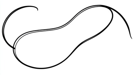 Abstract design of a stylized bean shape with flowing lines