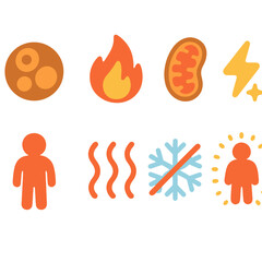 Brown Fat Activation Icons. Flat vector mini-illustrations brown fat activation for heat in colors children's illustrations: brown