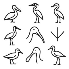 Obraz premium Coastal Waders Icon Set. Outline icon set of coastal waders: pelican silhouette, heron standing, egret pose, stork outline, ibises