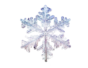 Close Up Macro Snowflake with Thick Ice Texture and Fractal Pattern, Isolated, Transparent Background PNG.