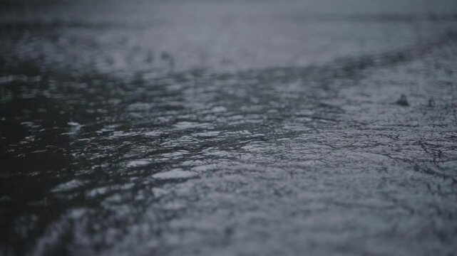 Due to the influence of the southwest monsoon, various parts of India experience heavy rainfall during the monsoon season.