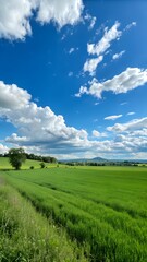 Obraz premium Green field and blue sky with white clouds. Nature background. Copy space.