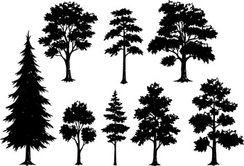 Obraz premium Set of vector trees 