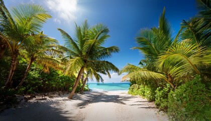 Fototapeta premium tropical jungle path lined with lush palm trees leading to a serene beach with turquoise water and soft white sand under warm morning sunlight
