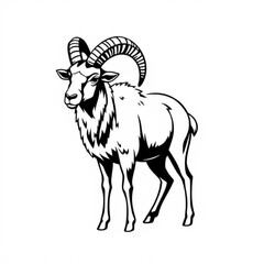 Aoudad Sheep Animal Icon