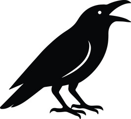 Silhouette crow raven bird standing calling black vector illustrator