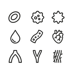 Blood Anatomy Icons. Outline icon set of blood anatomy: red blood cell, white blood cell, platelet, plasma drop, blood vessel,