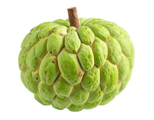 Fototapeta premium Close-Up of Whole Sugar Apple Fruit with Textured Green Skin, Front View, Transparent PNG