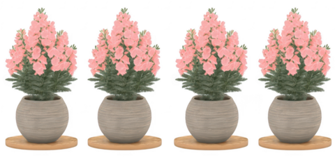Four pink flower pots arrangement on transparent png background