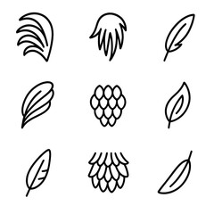 Fototapeta premium Rooster Feather Icon Set. Outline icon set of rooster plumage details: tail feather fan, neck hackle feathers, saddle feather