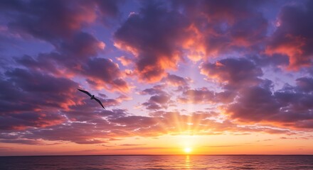 Seagull flying over ocean at sunset clouds