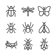 Insect Line Icons. Outline icon set of insect creatures: beetle, dragonfly, butterfly, ant, spider, moth, grasshopper, wasp,