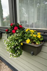 Flowers in a hanging pot, balsam, bacopa, pansies