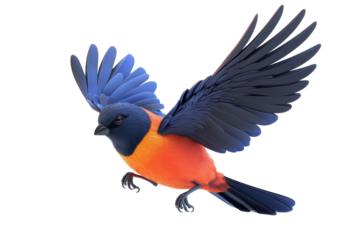Colorful bird with wings spread flying isolated on transparent background. Colorful bird with dark blue wings and a red orange body showcasing a simplistic isolated on white background.