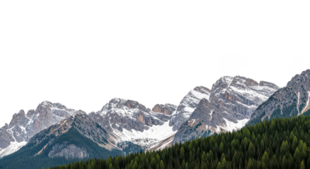 Snowcapped Mountains Evergreen Forest