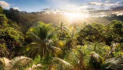 lush tropical sunlight