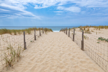 Path to a beach on the western coast of L&egrave;ge-Cap-Ferret peninsula, Gironde, France