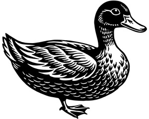 duck vector illustration
