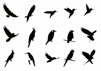 Obraz premium Silhouette depictions of various bird species in flight and perched on branches against white background
