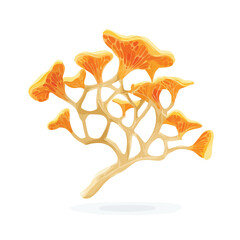 File ID(s): 1630046314 - Original name(s): fungi mycelium network isolated in White Background, fungi mycelium network vector, Flat lay vector illustration