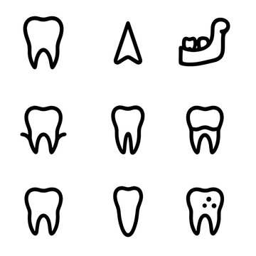 Fang Anatomy Icons. Outline icon set of fang anatomy: canine tooth, sharp tip, jawbone, gum line, tooth root, enamel, molar,