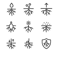 Root Functions Icons. Outline icon set of root functions: water absorption, nutrient uptake, anchorage, storage, hormone