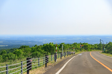 Curved Escape: Winding Forest Road Under Clear Skies in Hokkaido