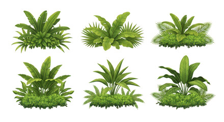 Tropical Plants 6 Lush Green Bushes