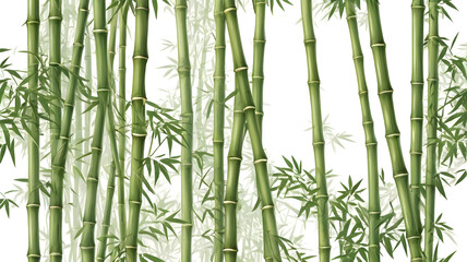 Fototapeta premium Dense green bamboo stalks with segmented nodes and leafy sprigs on white background, natural minimalist botanical texture