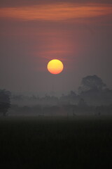 Perfectly round sunrise glows above a misty rural landscape. Soft morning fog and silhouettes enhance the tranquil, cinematic dawn mood in Central Java