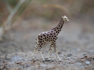 Mini toy of action figure at outdoor with blurred background. Miniature photography concept design. Minifigure of giraffe character at grassland.
