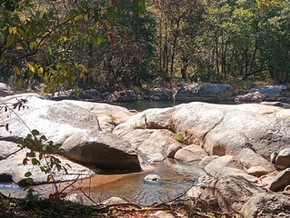 Fototapeta premium river pooling in the forest