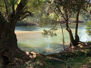 sabie river